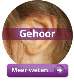 Logopedie gehoor